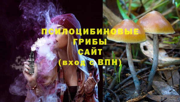 spice Алексеевка
