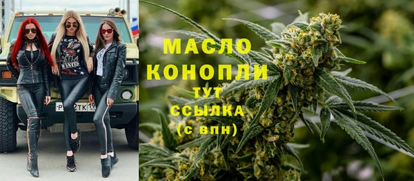 прущие грибы Алзамай