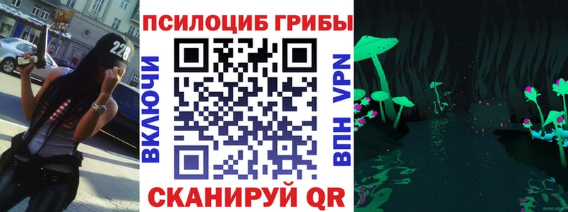 даркнет клад  Сенгилей  Псилоцибиновые грибы Magic Shrooms  сколько стоит 